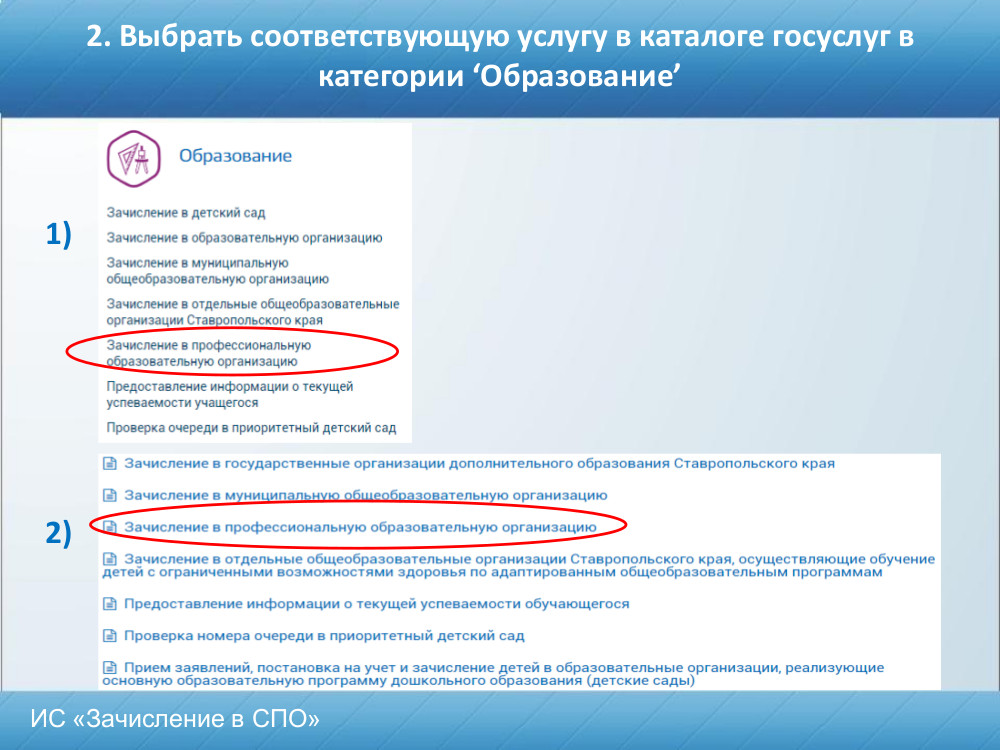 инструкция госуслуги1